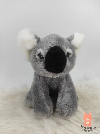 Peluche Koala Ravensden