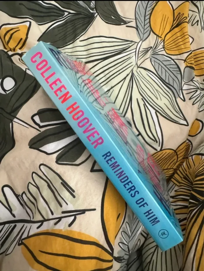 Book Reminders of him - photo numéro 4