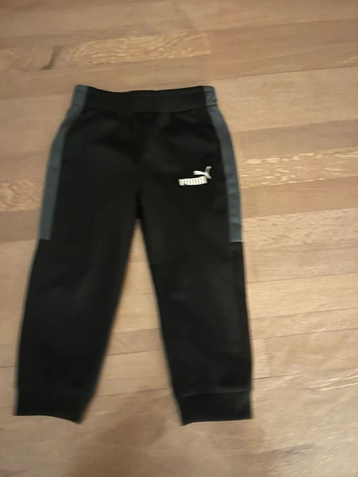 jogging puma