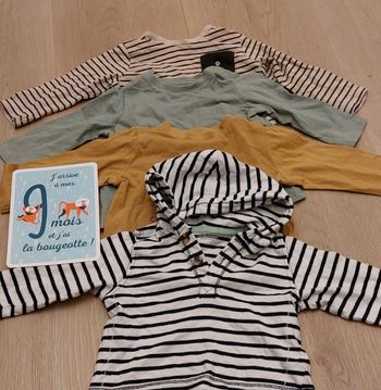 Lot tee shirt manches longues sweat 9 mois
