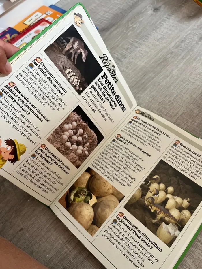Livre sur les dinosaures - photo numéro 3