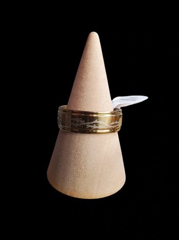 Bague en acier inoxydable doré