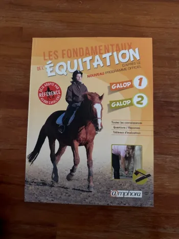 Livre les fondamentaux de l’équitation