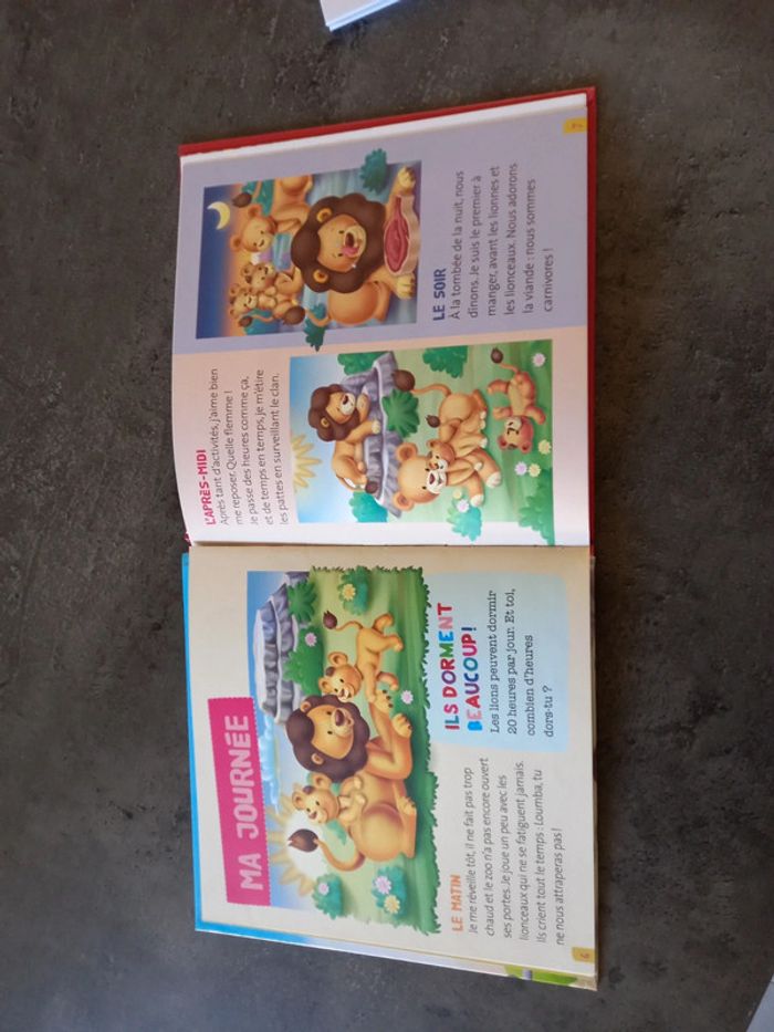 Livre Enfants. Zumba le lion - photo numéro 3