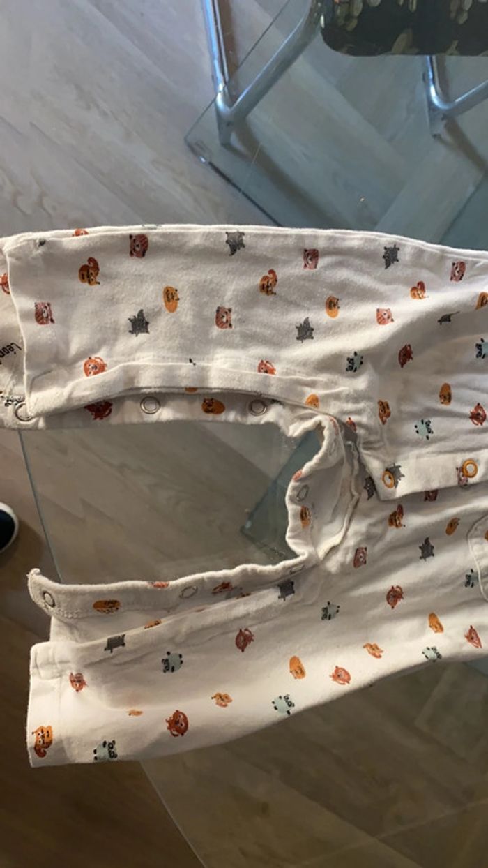 Grenouillère - photo numéro 6