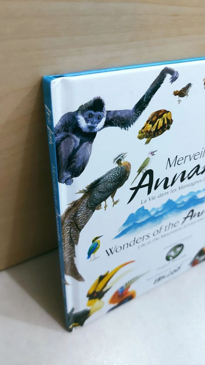 📚 Livre en anglais et français : Merveilles des annamites/ Wonders of the annamites - photo numéro 9