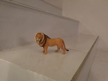 Lion schleich