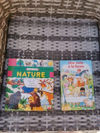 Lot de deux livre enfant