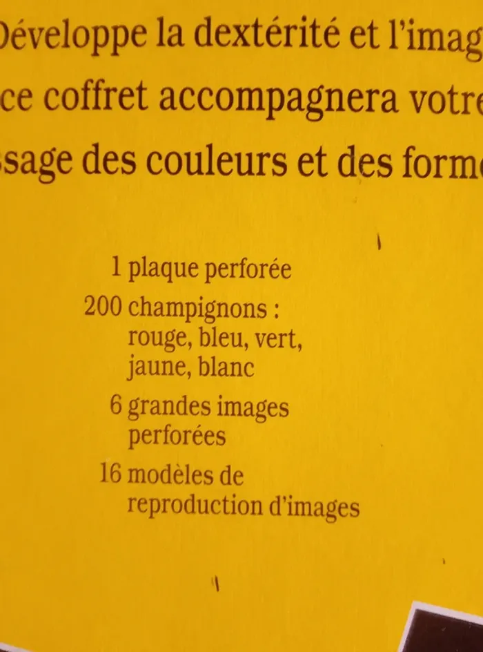 Jeu enfant - Mosaïque champignons - photo numéro 5
