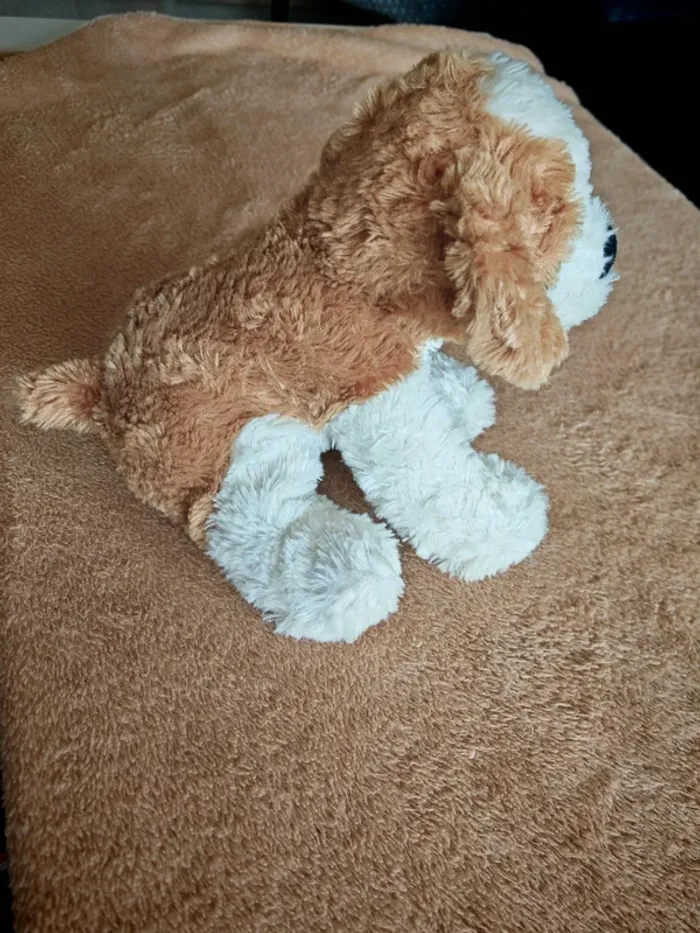 Peluche saint Bernard - photo numéro 7