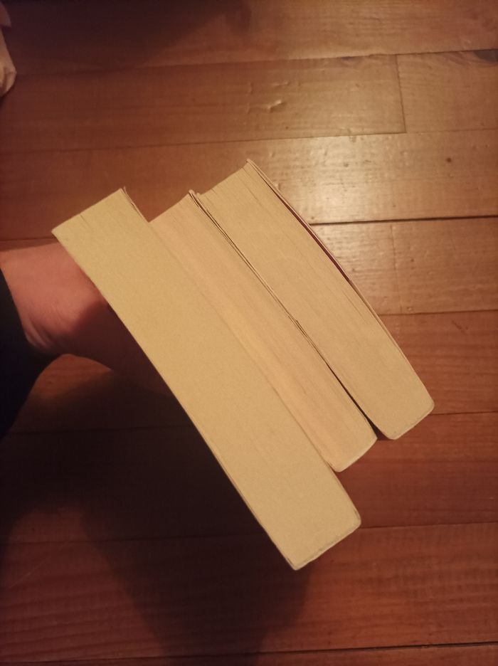 Lot romans - photo numéro 4