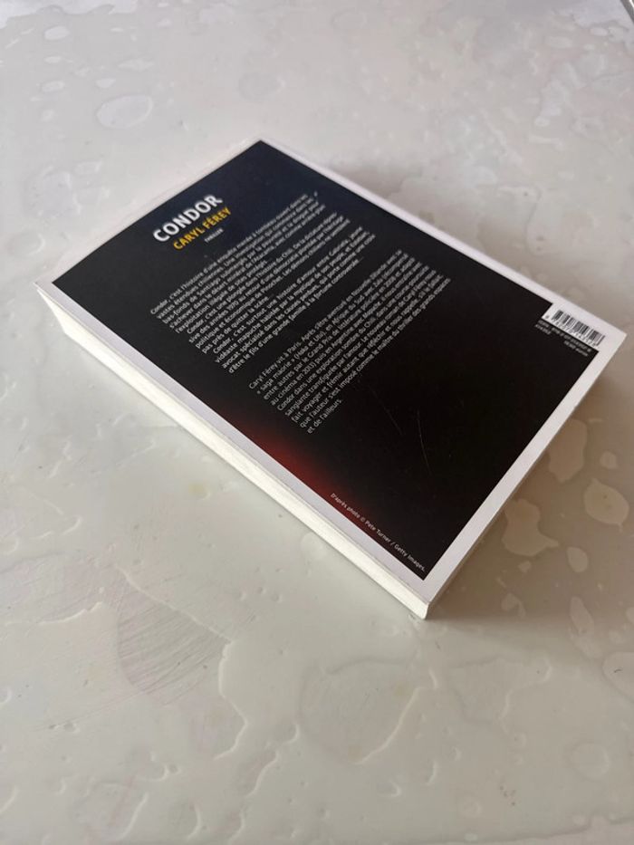 Livre condor - caryl férey - photo numéro 6