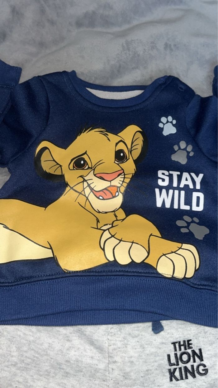 Ensemble le roi lion - photo numéro 2