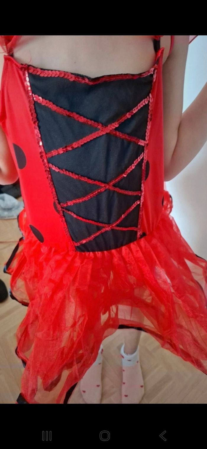 Déguisement coccinelle 🐞 - photo numéro 4