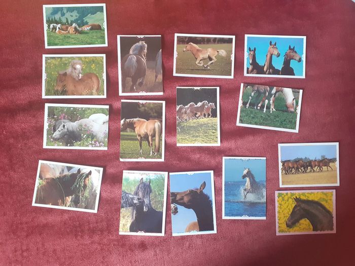 🐴15 Stickers vignettes Panini chevaux