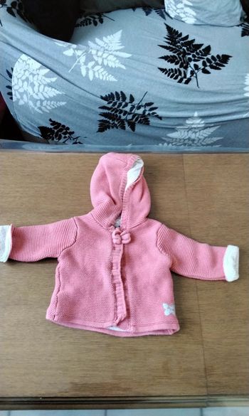 Gilet manches longues , très epais, avec une capuche, rose, Gemo Baby, 3M