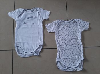 Lot de 2 bodys fille 12 mois