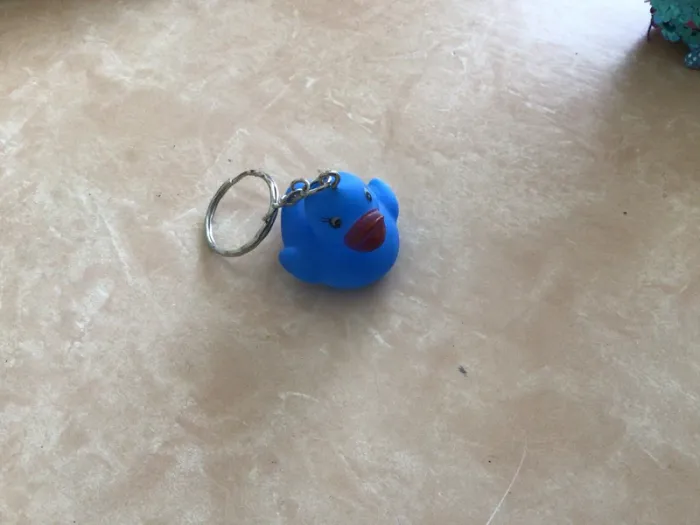 Porte clé