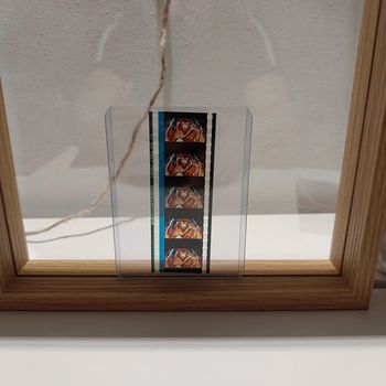 Pellicule démon slayer zenitsu