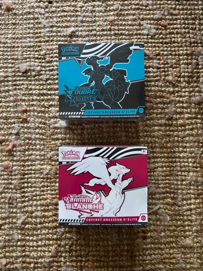 ETB Pokémon - EV10.5