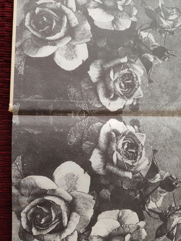 Livre : Les Roses - Peter Coats - photo numéro 3