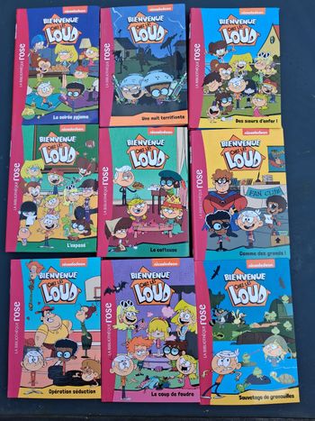 Bienvenue chez les Loud 2 euros
