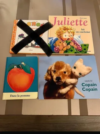 Lot de 3 livres enfants