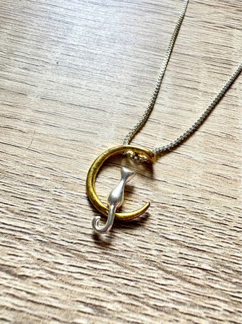 Collier chaîne pendentif lune et chat doré et argenté