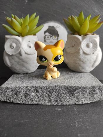 My Littlest Petshop LPS Pet Shop chat Chartreux 832 cat  #geektradelpschat