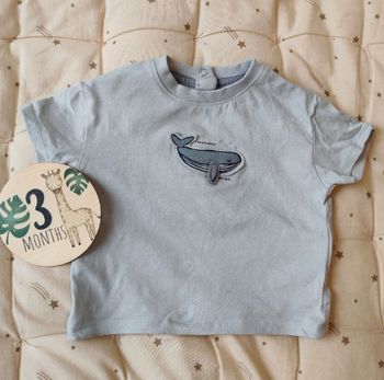 T-shirt baleine 3 mois