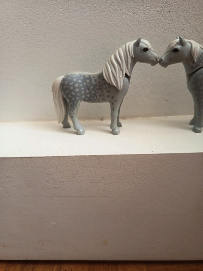 2 poulains gris playmobil - photo numéro 3