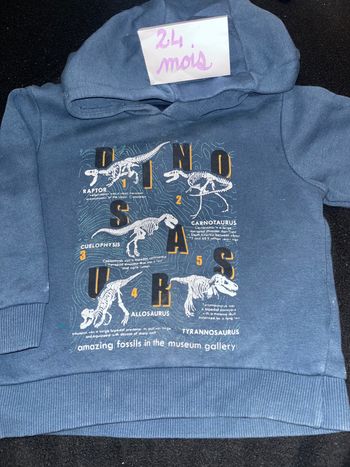 Pull 24 mois