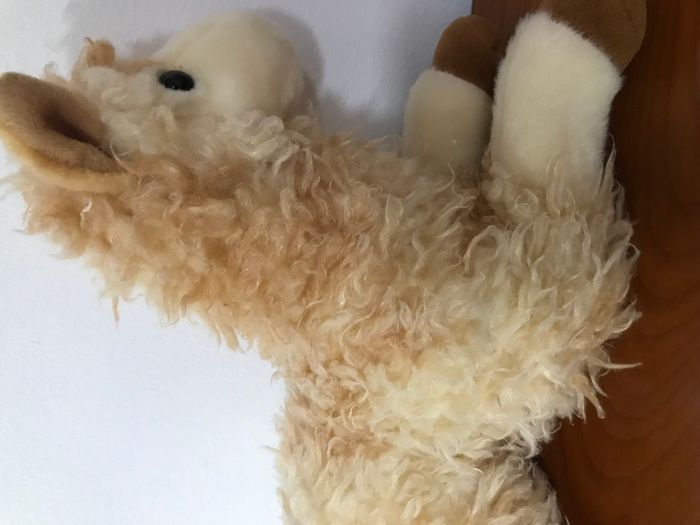 peluche lama cheval aurora - photo numéro 3