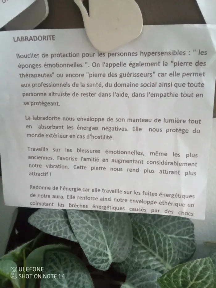 Collier tortue en labradorite naturelle - photo numéro 5
