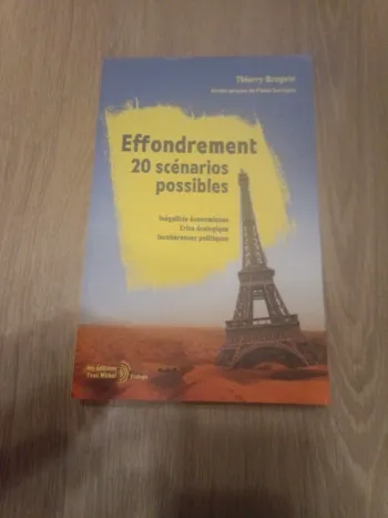 Effondrement 20 scénarios possibles