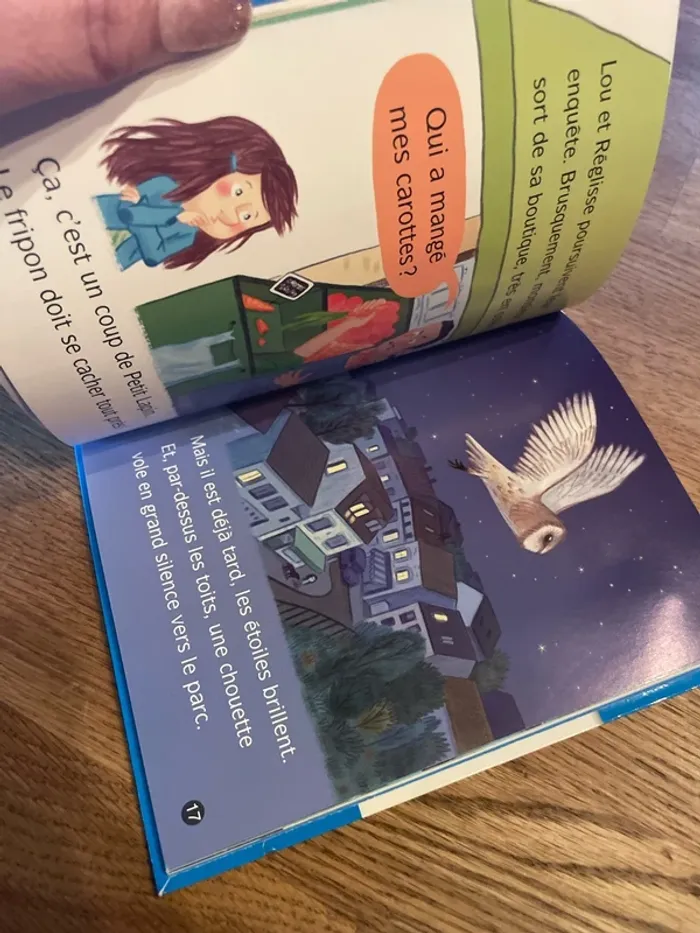 Livre premières lectures Les animaux de Lou Reviens Petit Lapin ! - photo numéro 9