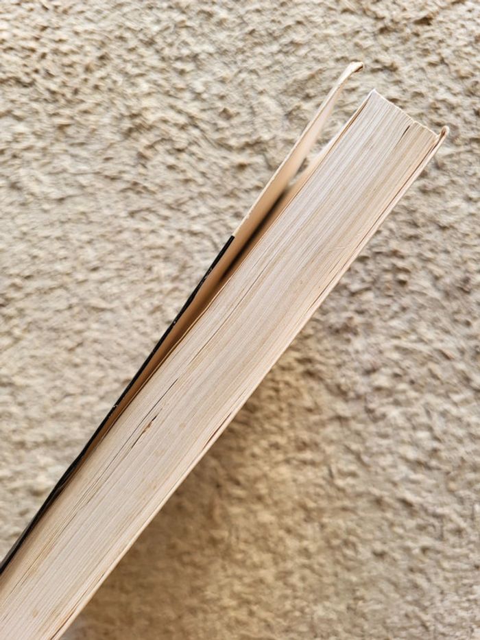 Roman jeunesse Collection Les Fantastiques Arkandias contre-attaque d'Éric Boisset - photo numéro 3