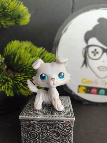 My Littlest Petshop Pet Shop LPS Authentic  Authentique Dog Collie Colley 363