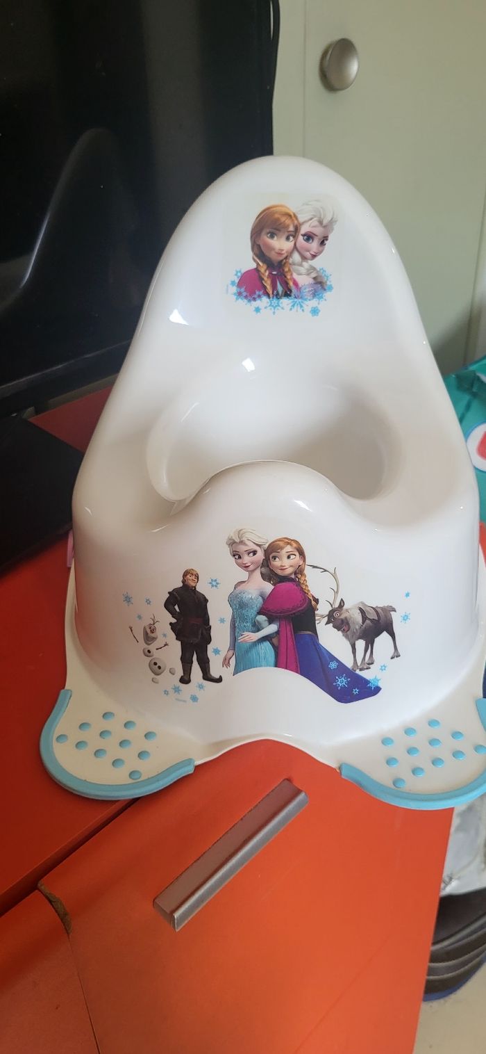 Pot Reine des Neiges