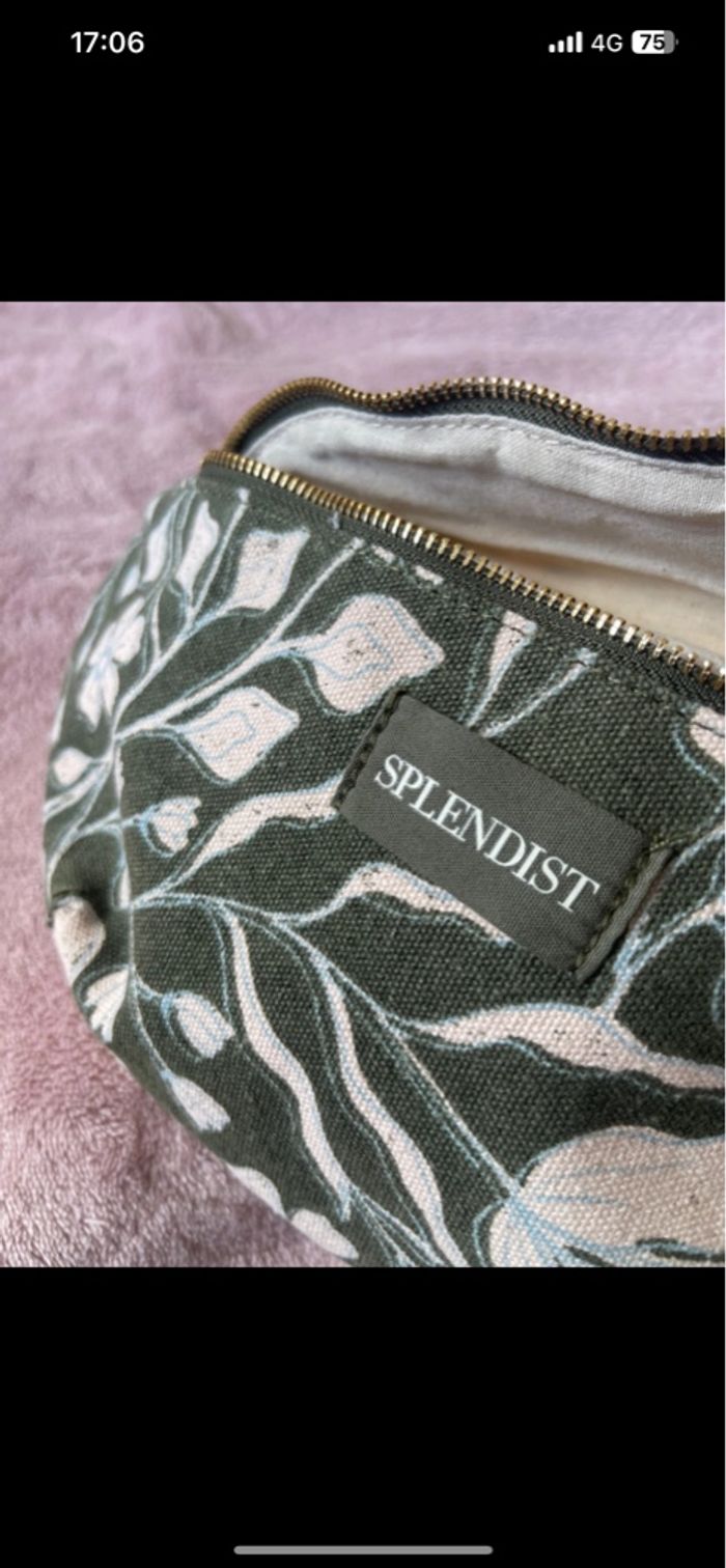 Banane splendist - photo numéro 3