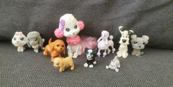 Lot de chiens et chats