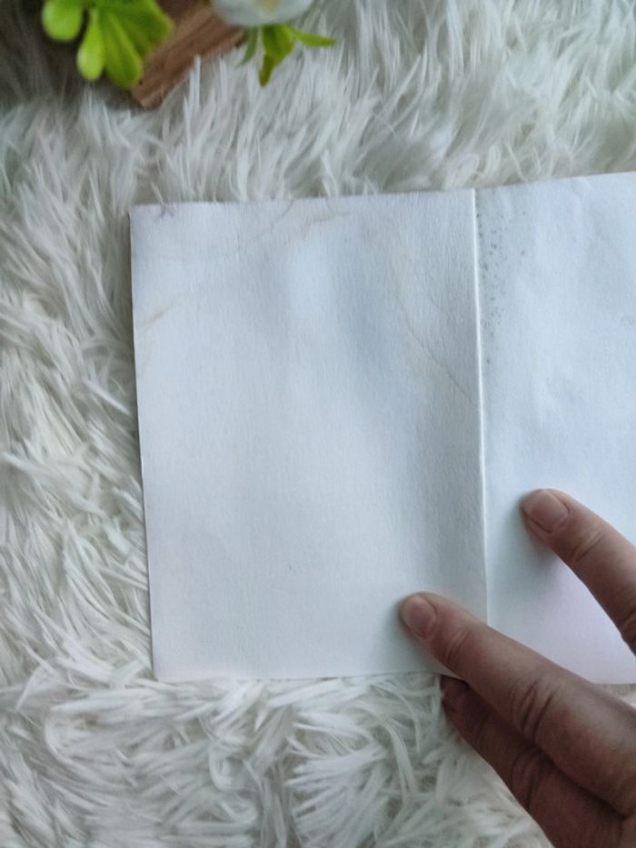 Croc blanc - photo numéro 4