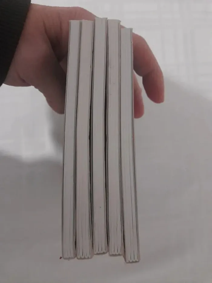 Lot de 5 livres le petit prince à partir de 8ans négociable - photo numéro 4