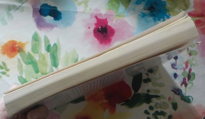 Orage sur la Calonne de Michel Ruffin Ed. France-Empire - photo numéro 4