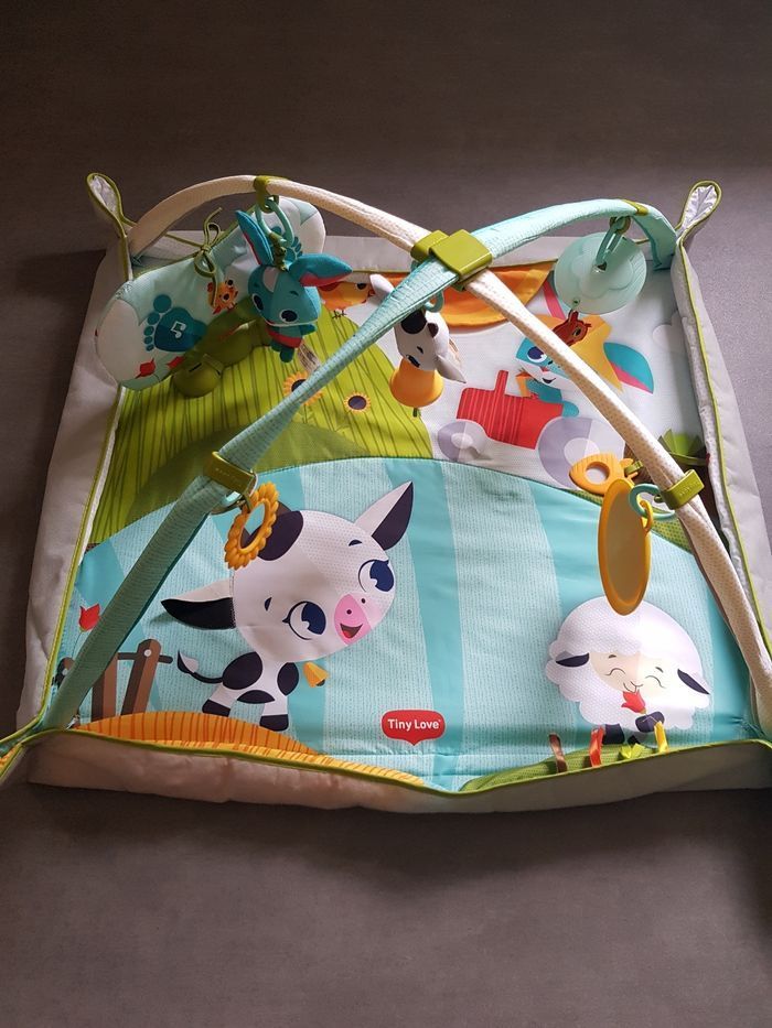 Tapis d'éveil - photo numéro 2