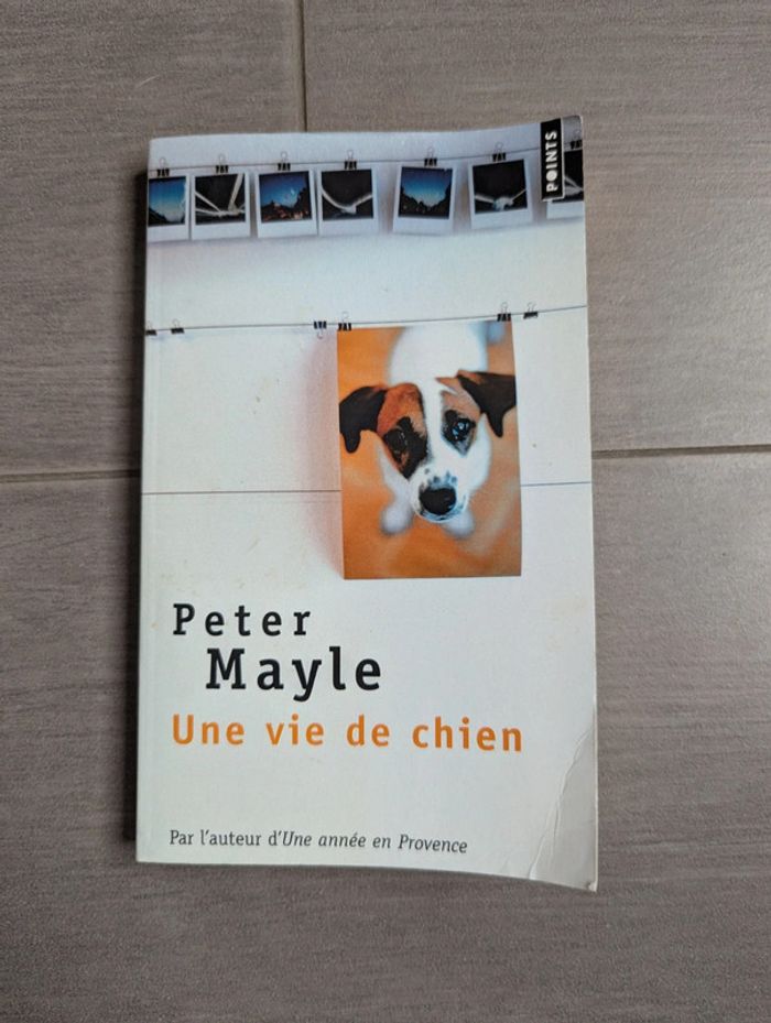 Une vie de chien