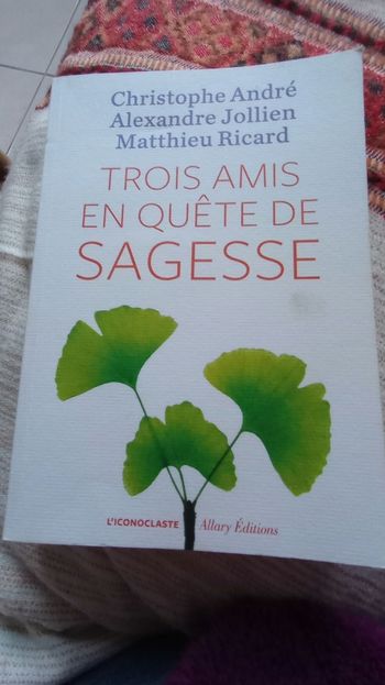 Trois amis en quête de sagesse 