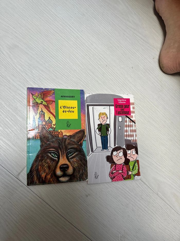 Lot de deux livres lire c’est partir l’oiseau de feu et grosse peur dans l’ascenseur