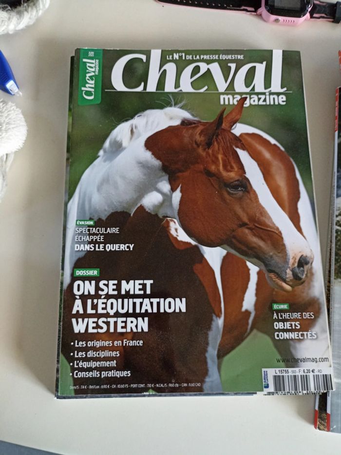 Cheval magazine - photo numéro 4
