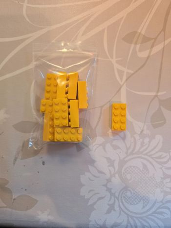 Pièces lego 6100027